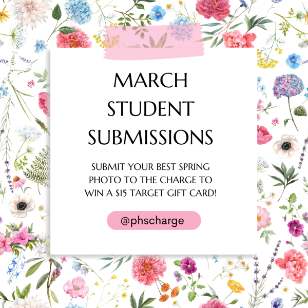 March Student Submissions 2024