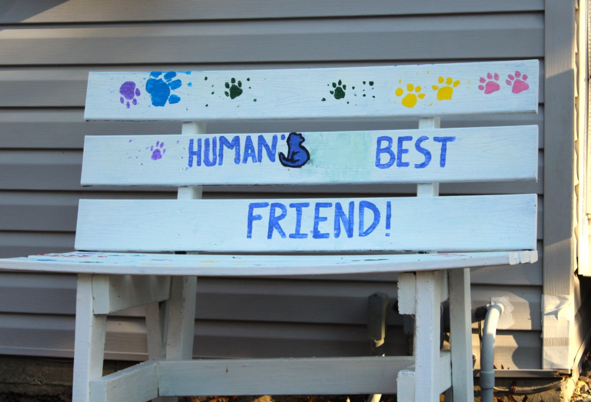 Benches with hand painted messages are found around FOHA, thanks to the work of girl scouts and participants from a volunteer event. These benches provide places where visitors can rest and relax with their pets.