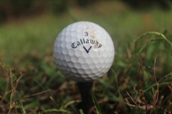 A golf ball sitting on a tee, which is used to elevate the ball for a shot. [Kylie Mulhern]