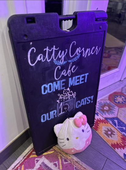cat5