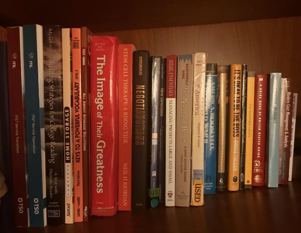 A bookshelf containing various book titles. Reading books is one of the key aspects of developing literacy.